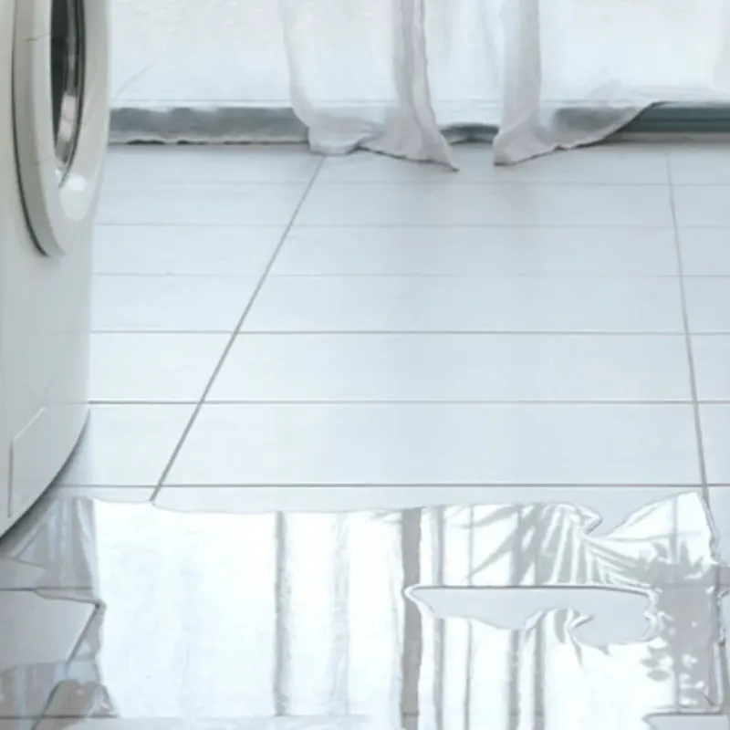 Appliance Leak Cleanup in Martin County, MN