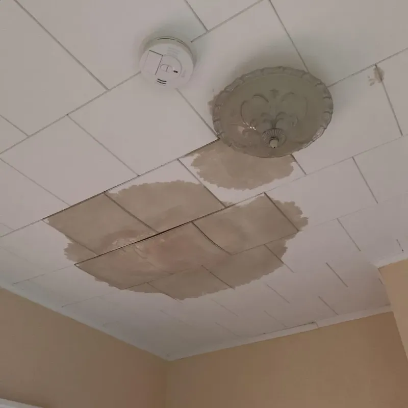 Ceiling Water Damage Repair in Martin County, MN