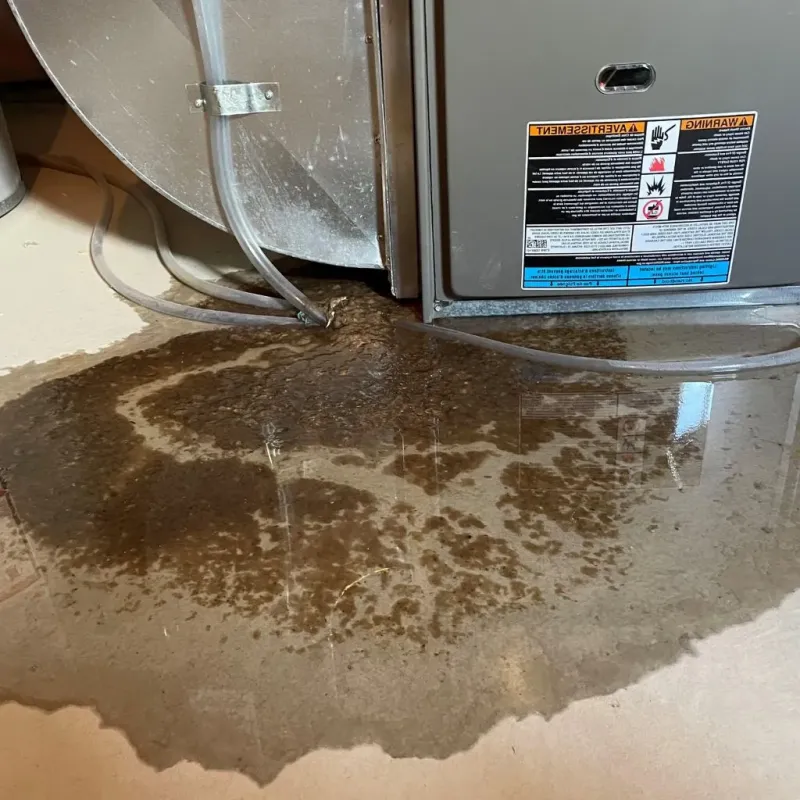 Pipe Burst and Leak Restoration in Martin County, MN