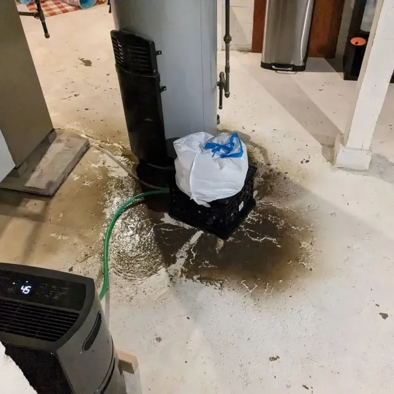 Sewage Backup Cleanup Service in Martin County, MN